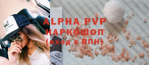 твердый Надым