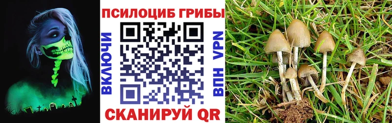 Галлюциногенные грибы прущие грибы Сафоново