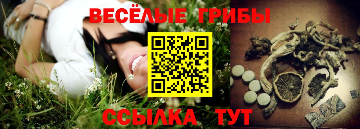 Псилоцибиновые грибы Cubensis  Галлюциногенные грибы ЛСД  Сафоново  Вход с VPN 
